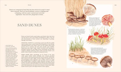 Fungi US - Hardback