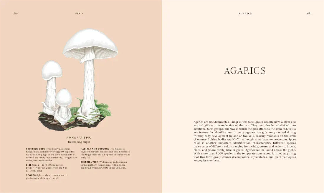 Fungi US - Hardback