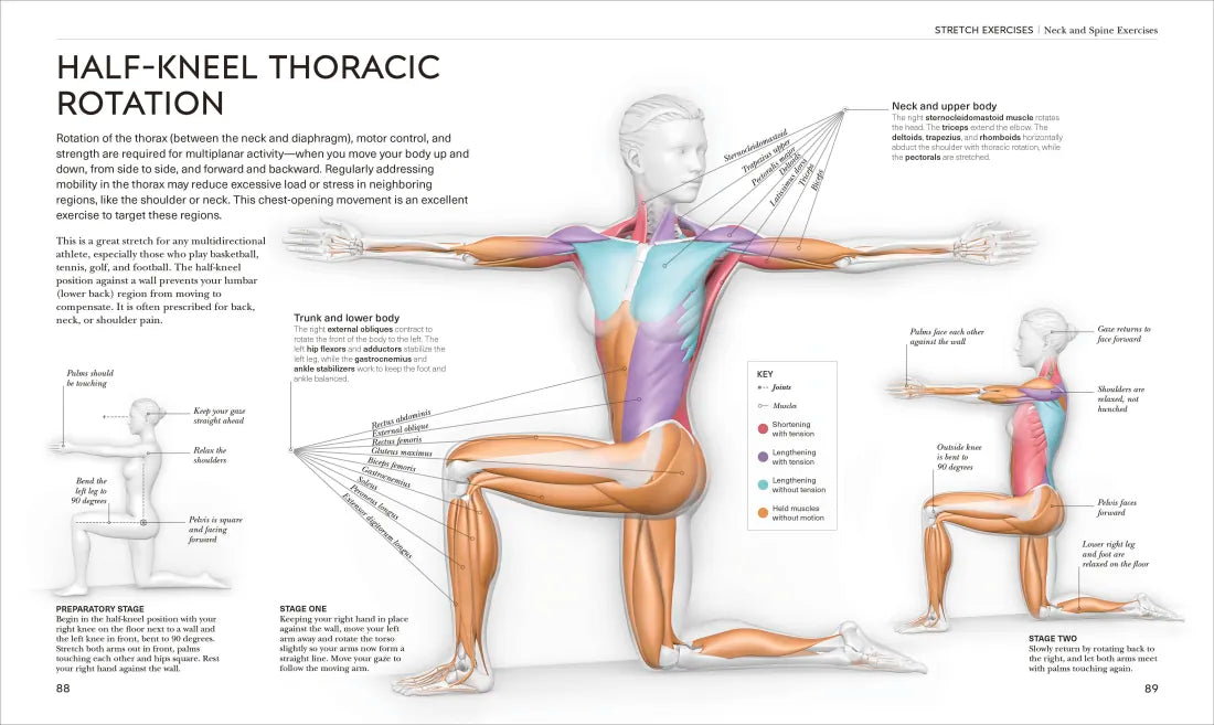 Science of Stretch US - Paperback / softback