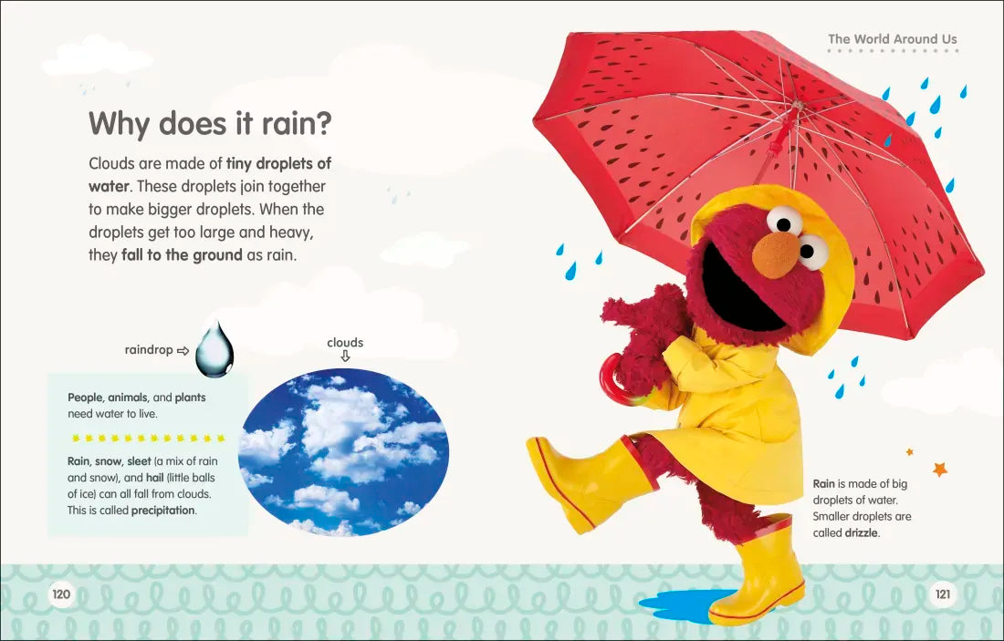Sesame Street Elmo Asks Why? US - Hardback