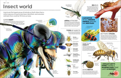 Eyewitness Encyclopedia of Everything US - Hardback