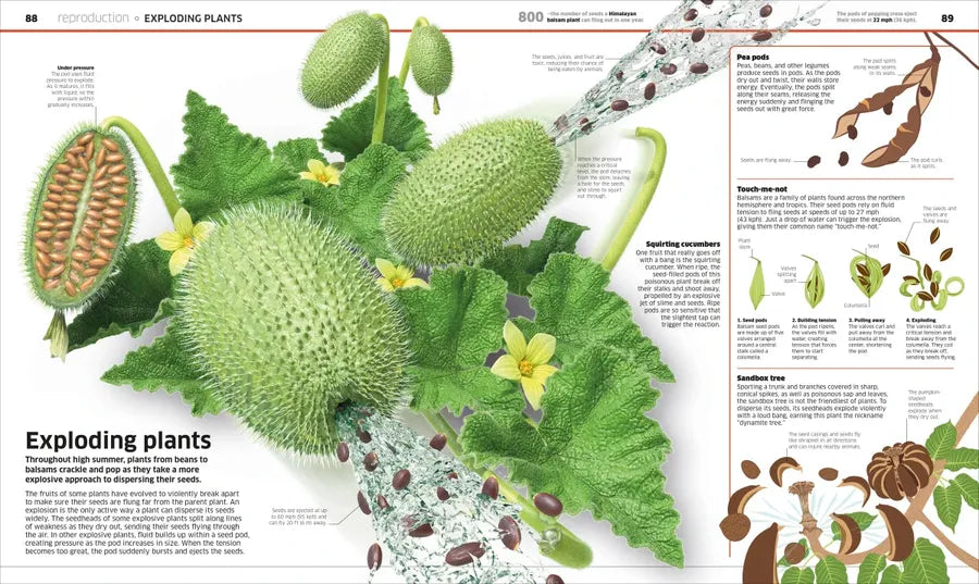 Knowledge Encyclopedia Plants and Fungi! US - Hardback
