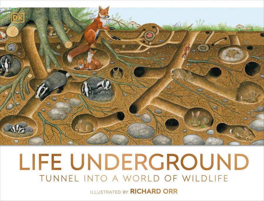 Life Underground-Children’s / Teenage general interest: Nature and animals-買書書 BuyBookBook