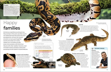 Eyewitness Reptile US - Paperback / softback
