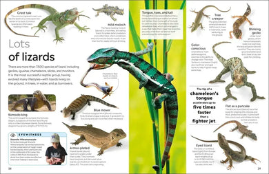 Eyewitness Reptile US - Hardback