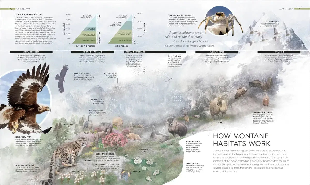 Habitats US - Hardback