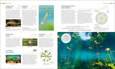 Habitats US - Hardback