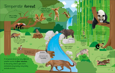 My Very Important Lift-the-Flap Book: Animals US - Board book