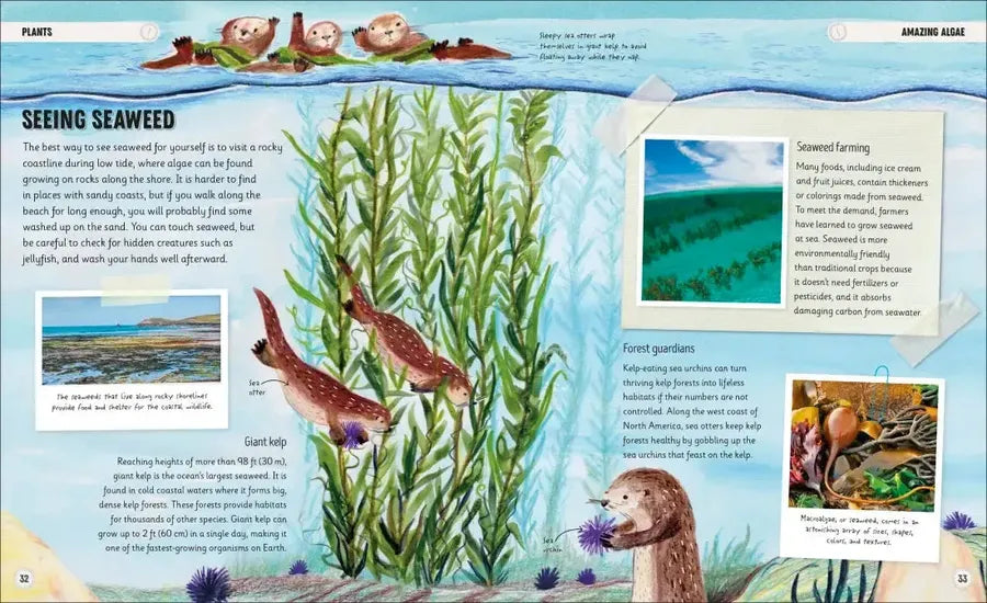 Amazing Oceans US - Hardback
