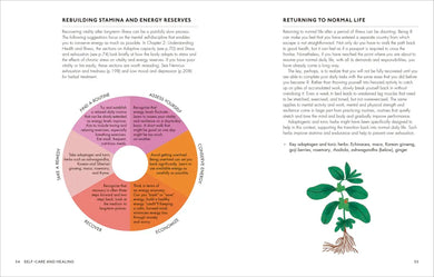The Home Herbal US - Hardback