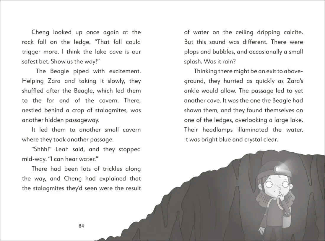 The Secret Explorers and the Cave Crisis US - Hardback