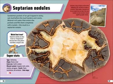Rocks and Minerals Ultimate Handbook US - Paperback / softback