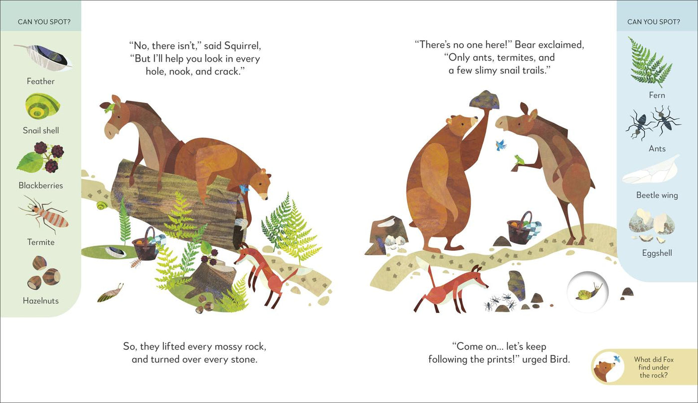 Jonny Lambert’s Bear and Bird: Find a Footprint US - Hardback