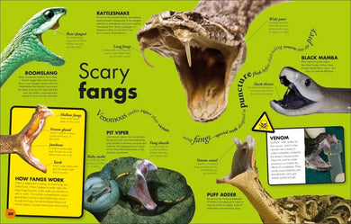 Everything You Need to Know About Snakes US - Hardback