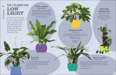 How Not to Kill Your Houseplant New Edition US - Hardback