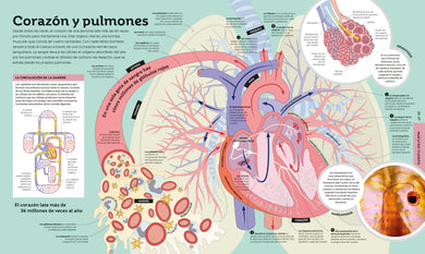 Cómo funcionan las cosas (How Everything Works) interior 1 (ISBN 9780744089196)