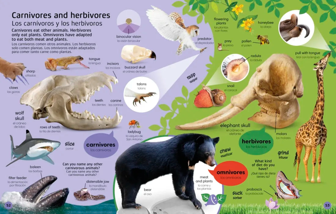 1000 Bilingual Words Animals - 1000 palabras bilingües animales US - Hardback