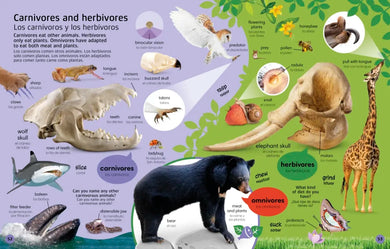 1000 Bilingual Words Animals - 1000 palabras bilingües animales US - Hardback