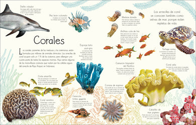 Maravillas del mundo acuático (An Anthology of Aquatic Life) interior 1 (ISBN 9780744089219)