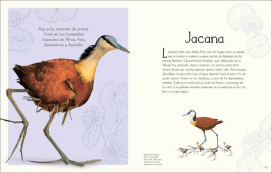 Maravillas del mundo acuático (An Anthology of Aquatic Life) interior 2 (ISBN 9780744089219)