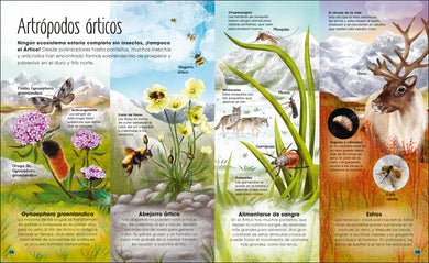 La vida secreta del hielo (The Frozen Worlds) interior 4 (ISBN 9780744089233)