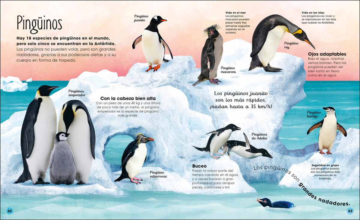 La vida secreta del hielo (The Frozen Worlds) interior 5 (ISBN 9780744089233)