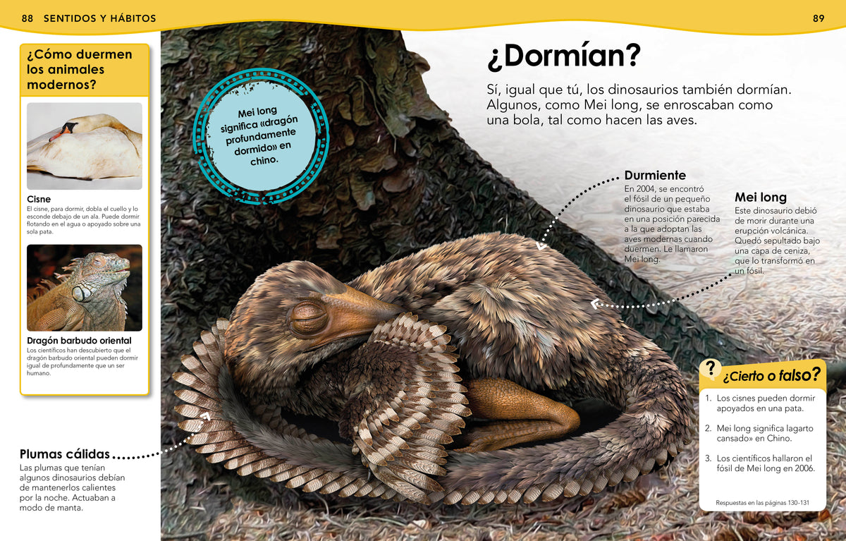 ¿Sabías qué? Dinosaurios (Did You Know? Dinosaurs) interior 2 (ISBN 9780744089240)