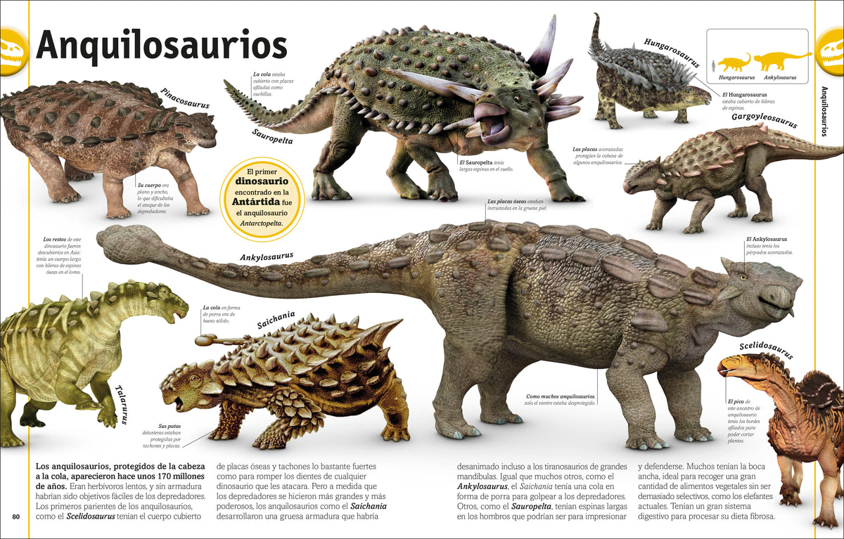 El libro de los dinosaurios (The Dinosaur Book) interior 3 (ISBN 9780744089271)