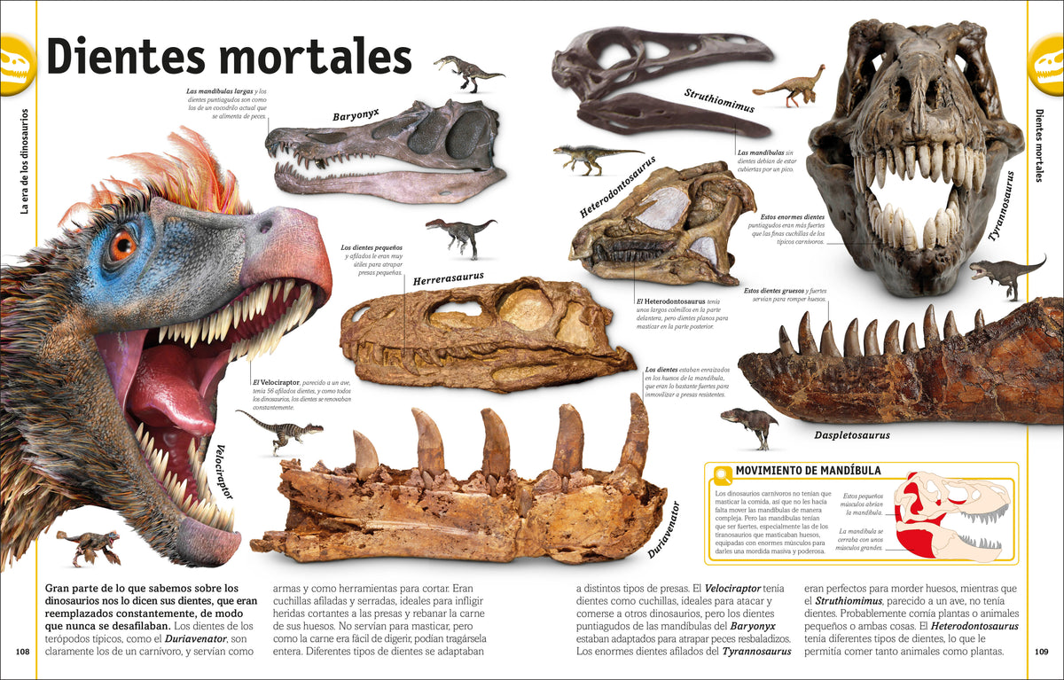El libro de los dinosaurios (The Dinosaur Book) interior 4 (ISBN 9780744089271)