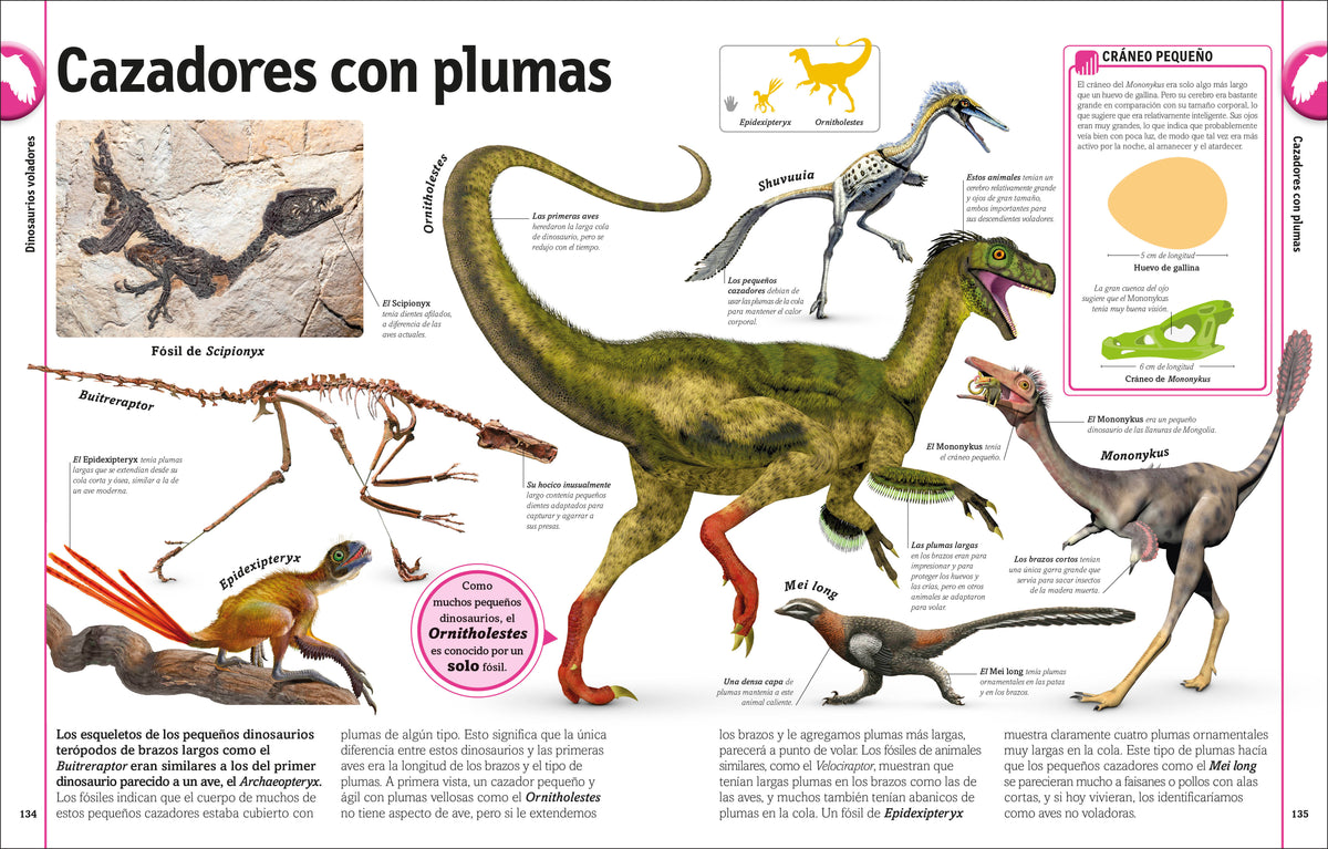 El libro de los dinosaurios (The Dinosaur Book) interior 5 (ISBN 9780744089271)