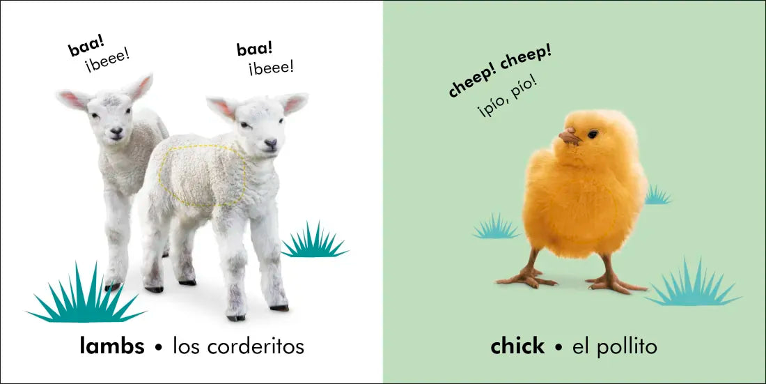 Bilingual Baby Touch and Feel: Baby Animals - Los animales bebé US - Board book