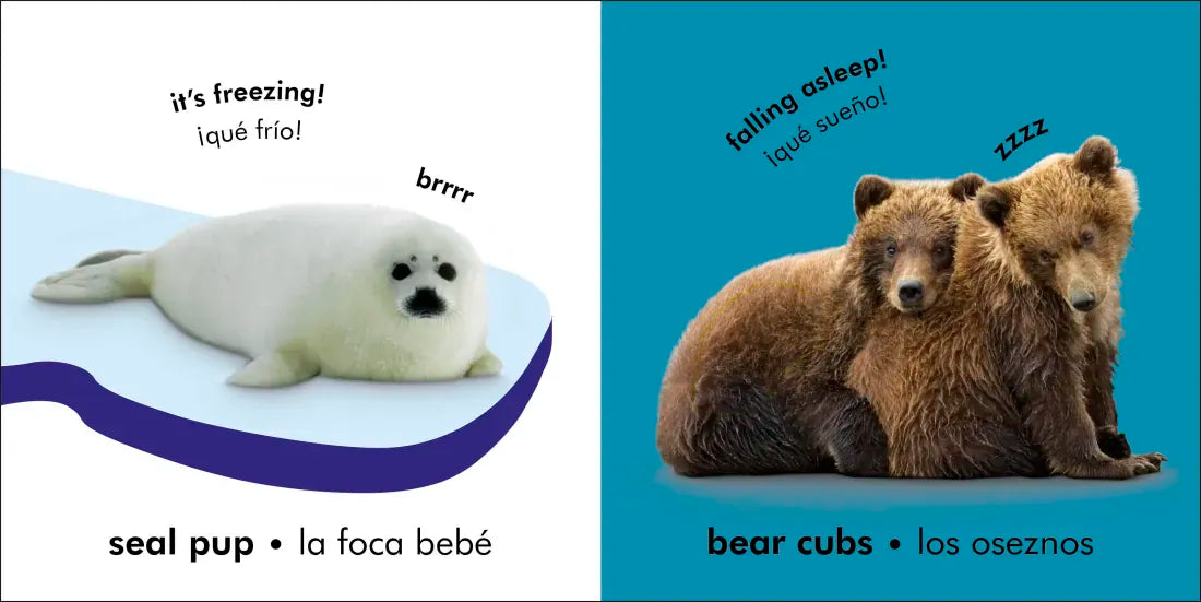 Bilingual Baby Touch and Feel: Baby Animals - Los animales bebé US - Board book