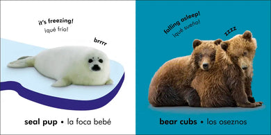 Bilingual Baby Touch and Feel: Baby Animals - Los animales bebé US - Board book