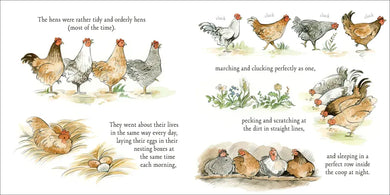 Agnes and the Hen US - Hardback