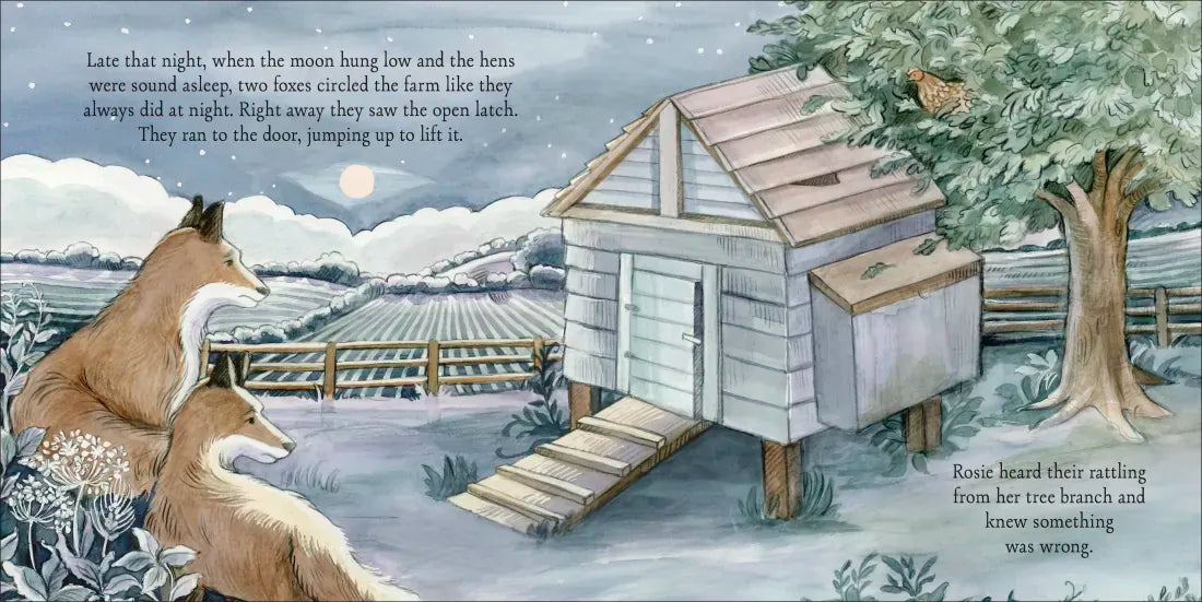 Agnes and the Hen US - Hardback