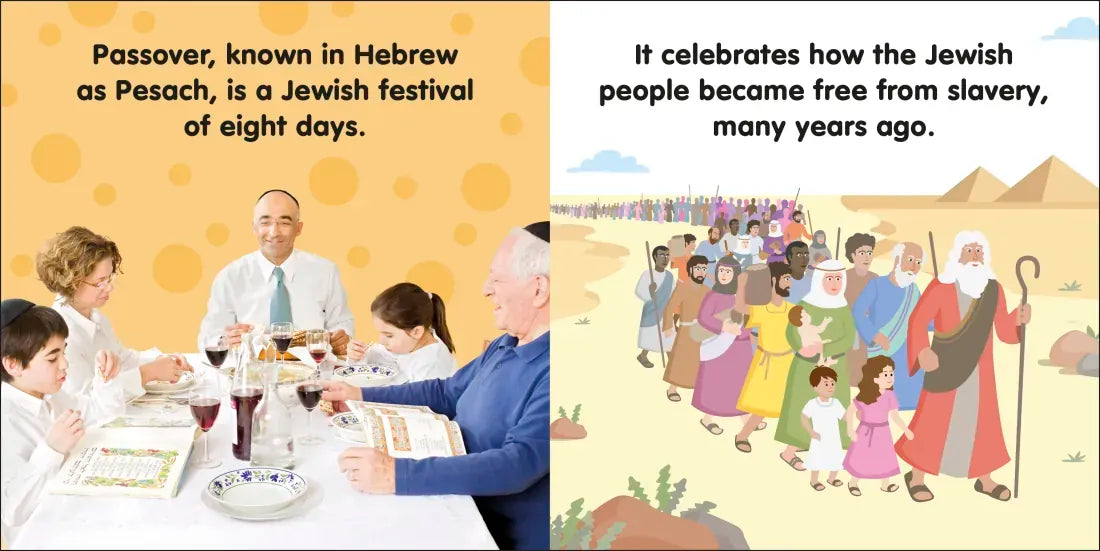 Baby's First Passover US - Board book