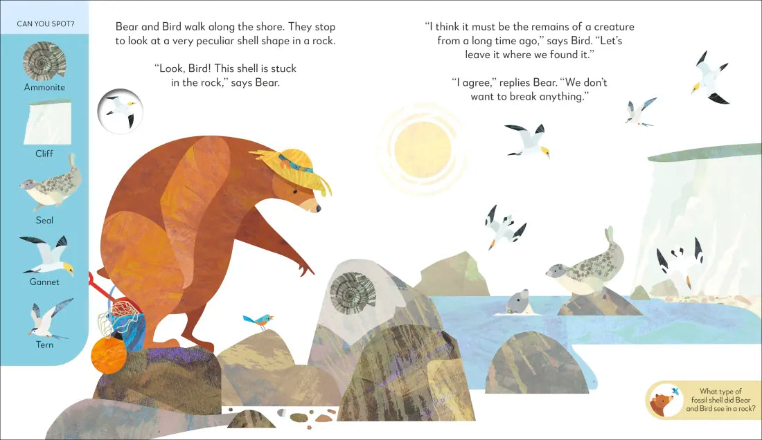 Jonny Lambert’s Bear and Bird Explore the Seashore US - Hardback