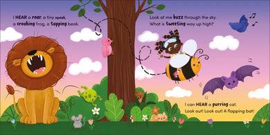 Smart Senses: Big Noise, Little Noise US - Board book