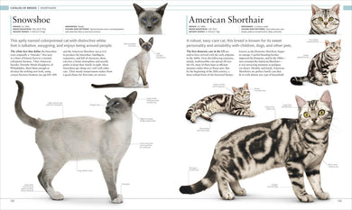The Cat Encyclopedia US - Hardback