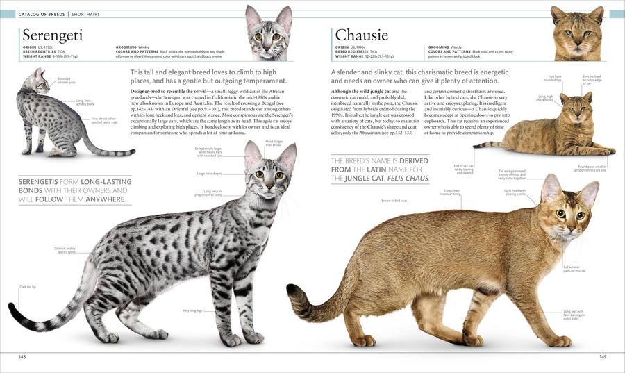 The Cat Encyclopedia US - Hardback