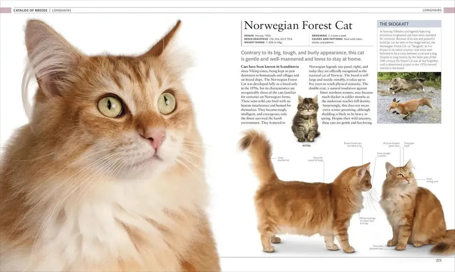 The Cat Encyclopedia US - Hardback