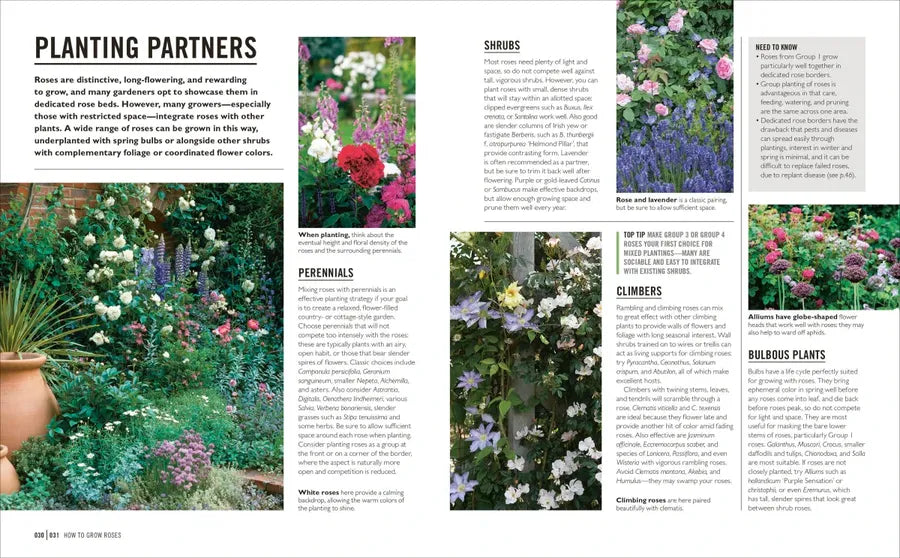 Grow Roses US - Paperback / softback