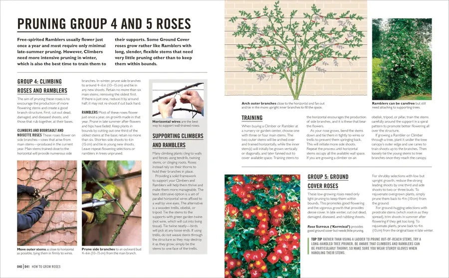 Grow Roses US - Paperback / softback