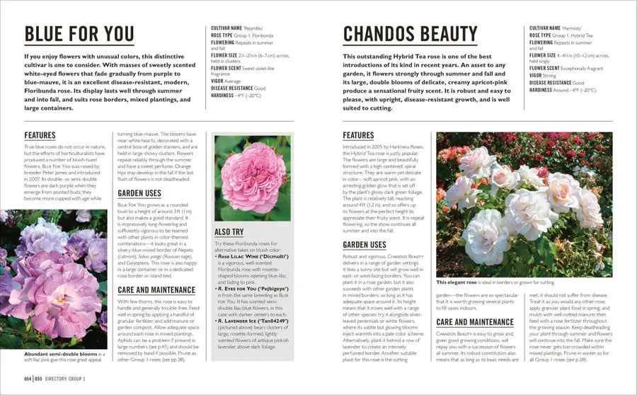 Grow Roses US - Paperback / softback