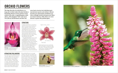 Grow Orchids US - Paperback / softback