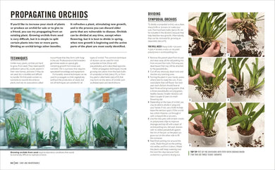 Grow Orchids US - Paperback / softback