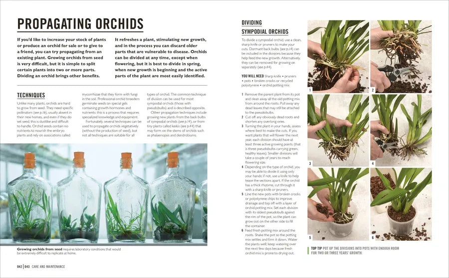 Grow Orchids US - Paperback / softback