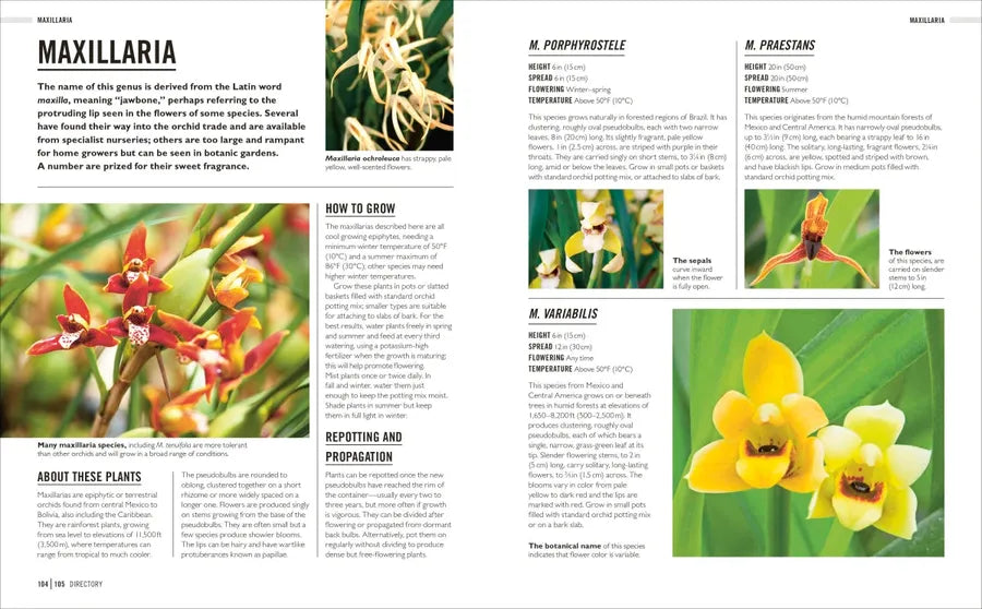 Grow Orchids US - Paperback / softback
