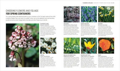 Beginner Gardening Step by Step US - Paperback / softback