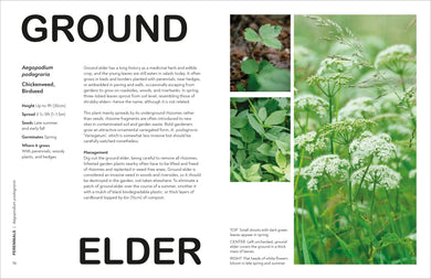 What's That Weed? US - Hardback